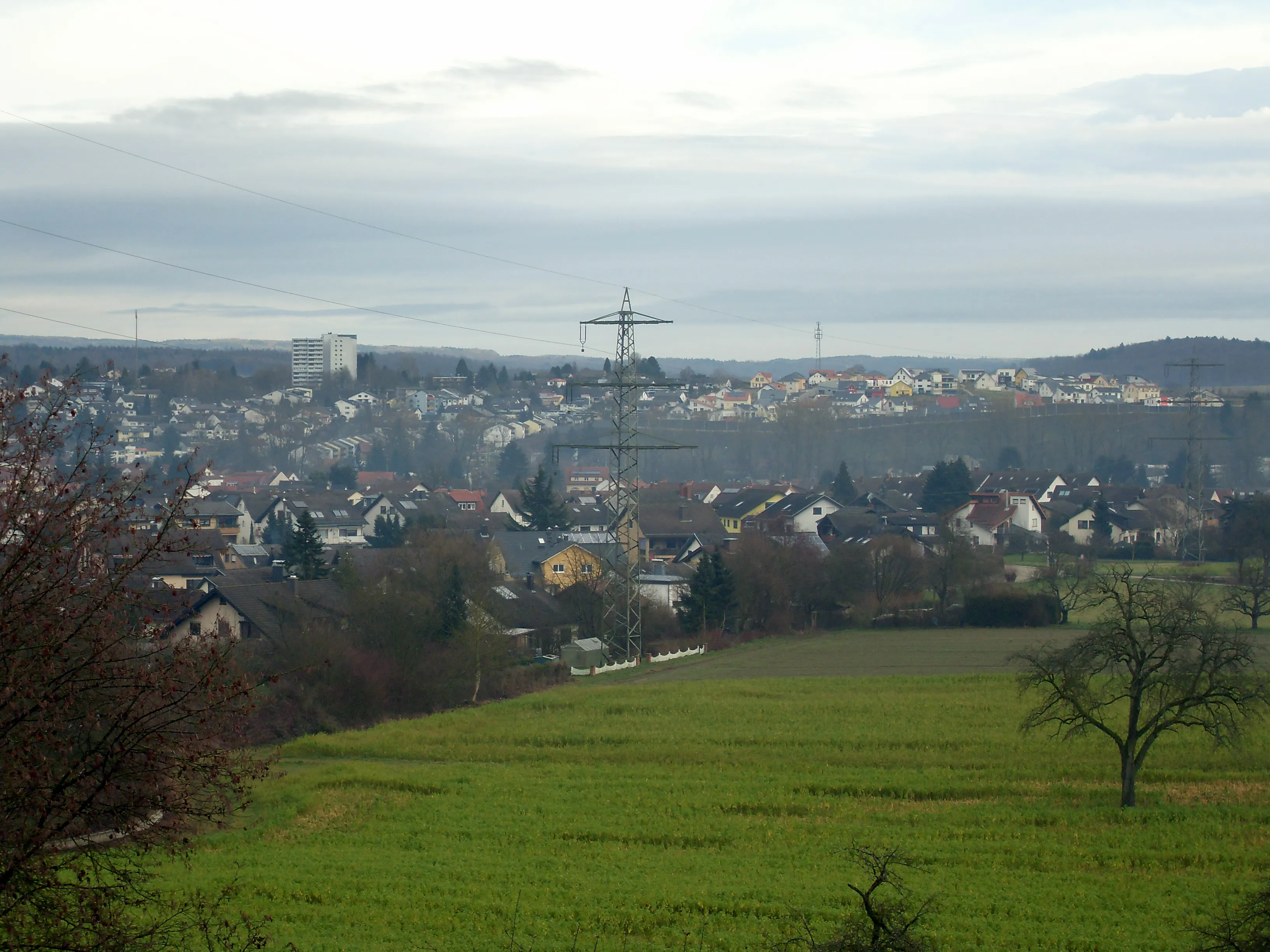 Blick über Bammental im Elsenztal