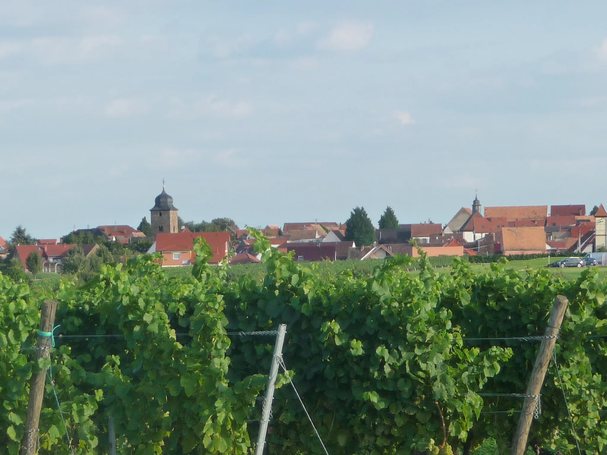 Ortsansicht von Dackenheim in der Pfalz